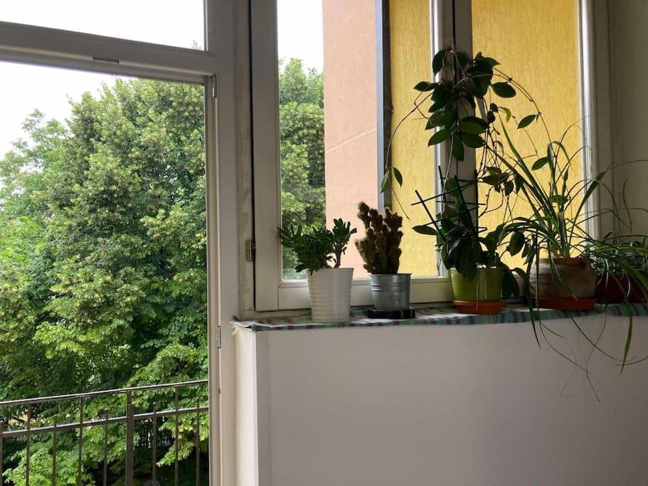 Oh Lola! Lejlighed Beograd Eksteriør billede
